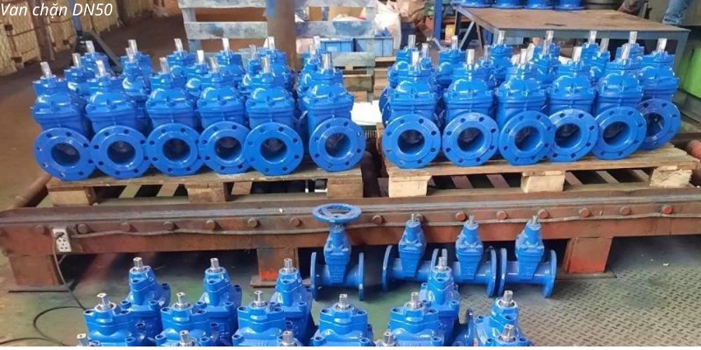 Van chặn DN50 kho van chặn dn50