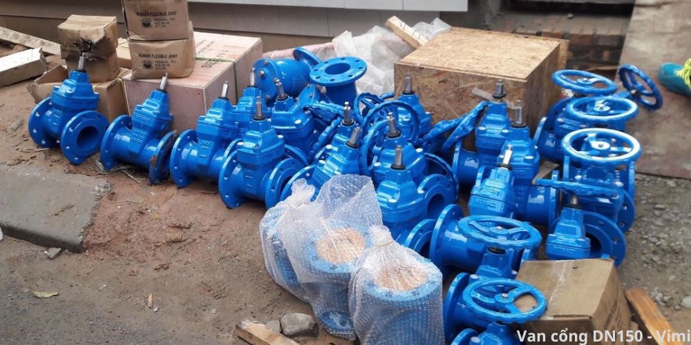 Van cổng DN150 van cong dn150 10