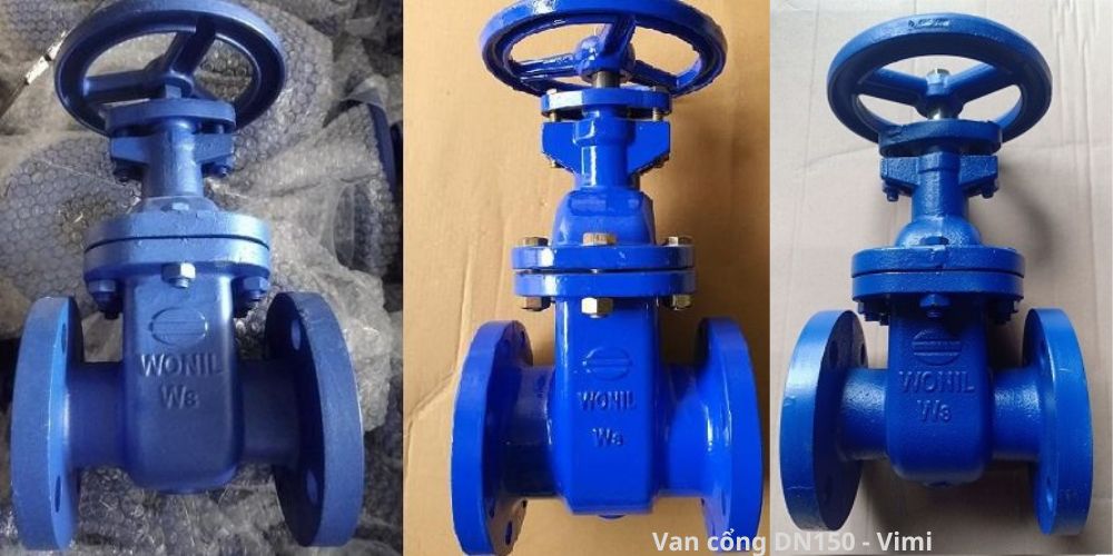 Van cổng DN150 van cong dn150 11