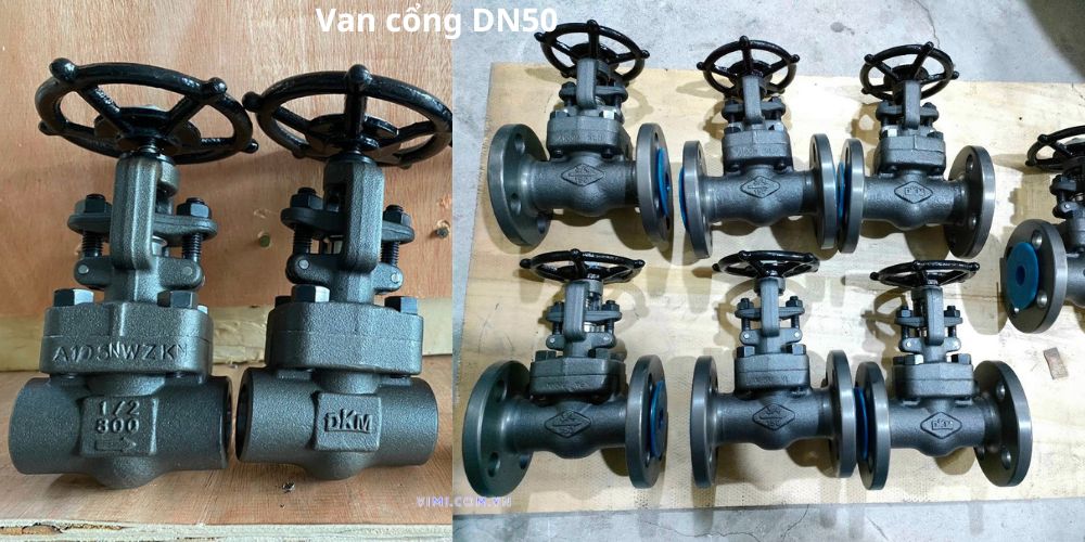 Van cổng DN50 van cổng dn50 thân thép