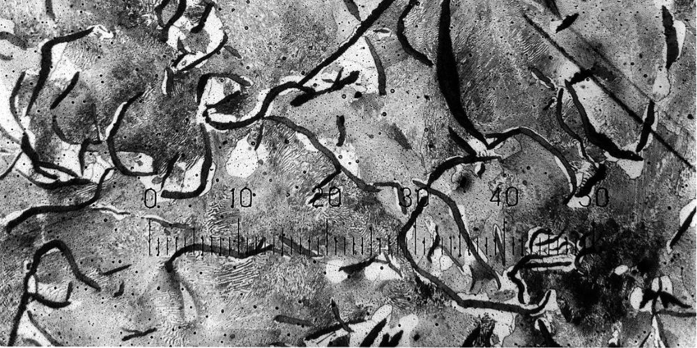 cong dung gang xam la gi 2