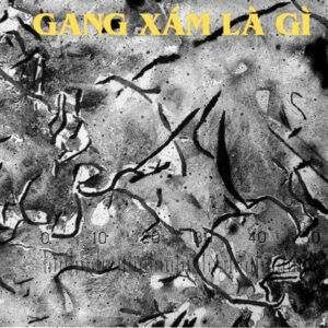 gang xám là gì 66