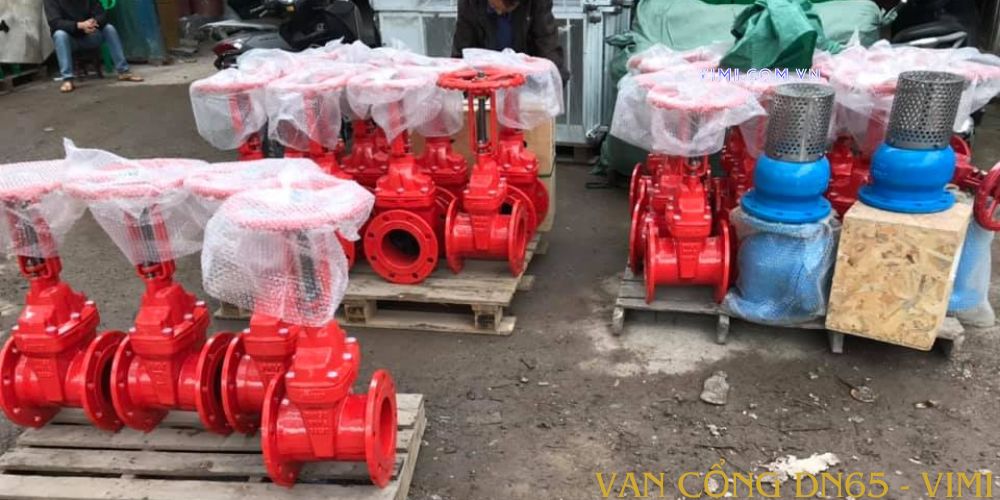 Van cổng DN65 van cổng dn65 dạng ty nổi