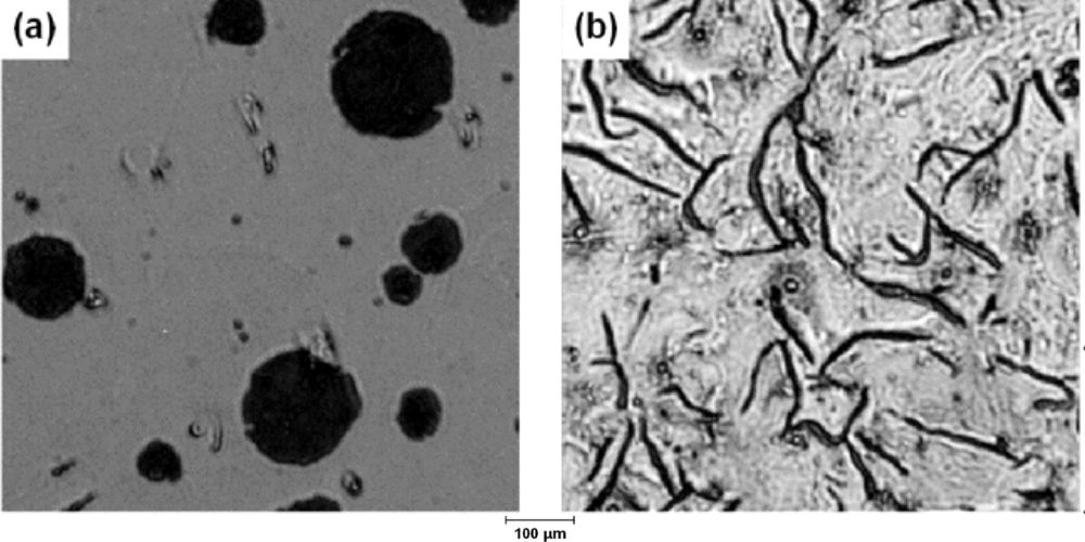 GCD450 - Thành phần - Độ bền - Ưu điểm gcd450 la gi 105 2