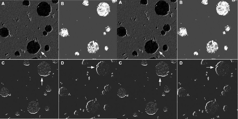 GCD450 - Thành phần - Độ bền - Ưu điểm gcd450 la gi 105 3