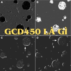 Gcd450