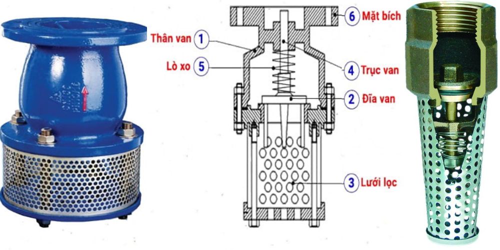 cấu tạo luppe là gì 105 3