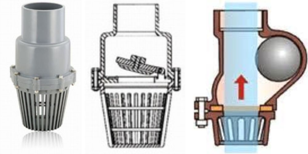 cấu tạo luppe là gì 105 4