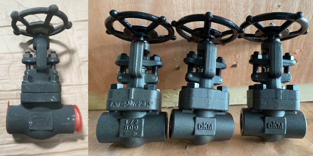 chủng loại van cổng nối hàn