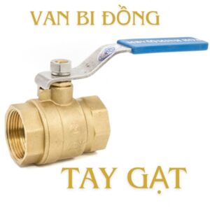 ảnh đại diện van bi đồng tay gạt 66