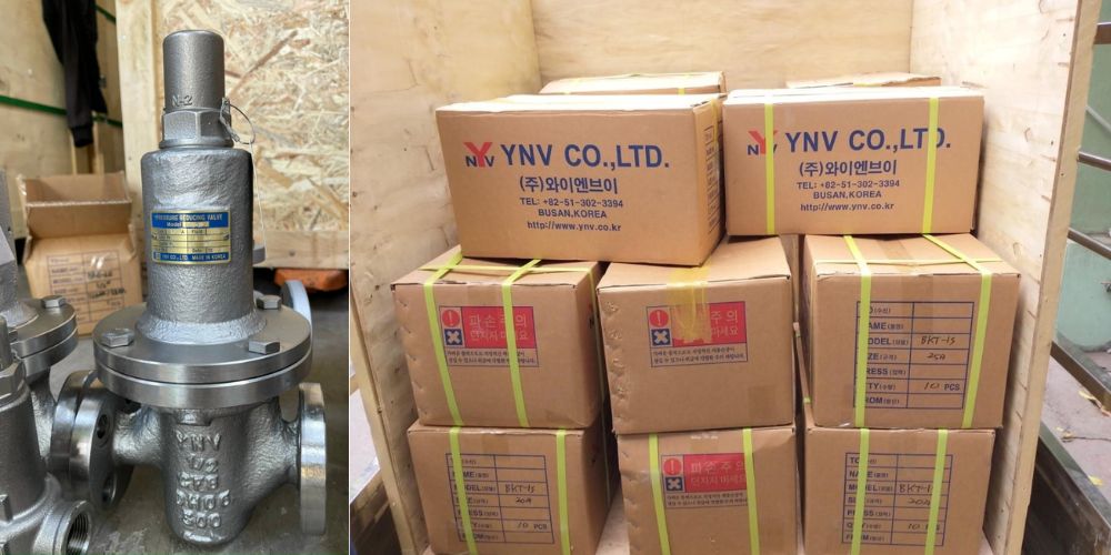 YNV DRG-1F & DRG-2F | Diaphragm Type Ynv Drp 1f 2f 105 (4)