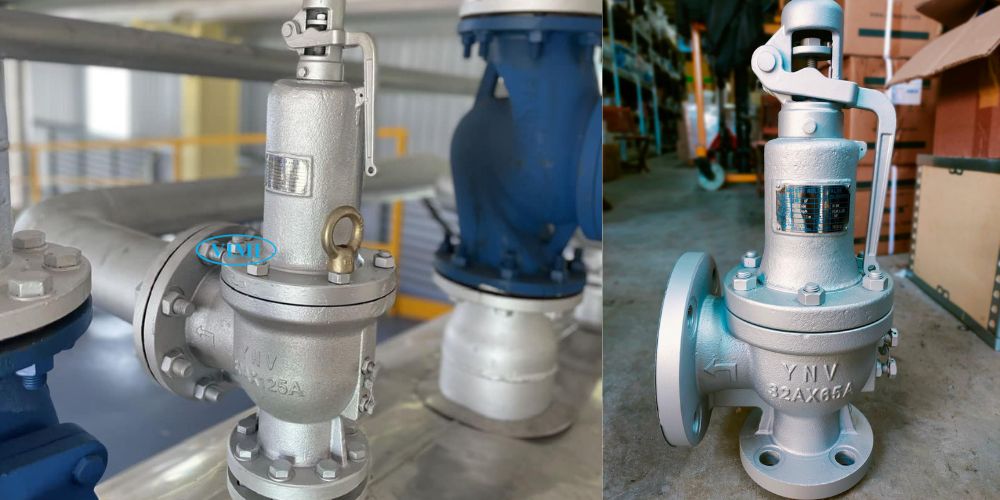 Ynv Fsv 1f 2f 3f 105 (3)