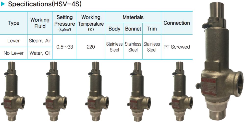 Ynv Hsv 3s 4s 105 (4)