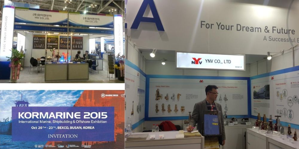 Korean YNV Valve Ynv Valve (4)