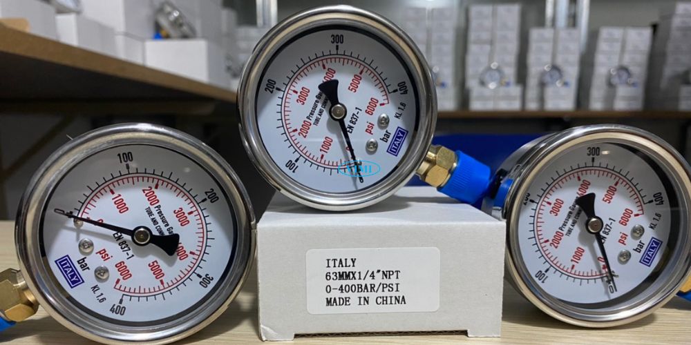 đồng hồ áp suất italy 0 400bar 6000psi 5