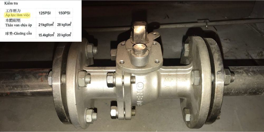 Bueno BWS-G01R | Van cổng ty nổi ASME Bueno Bws G01r