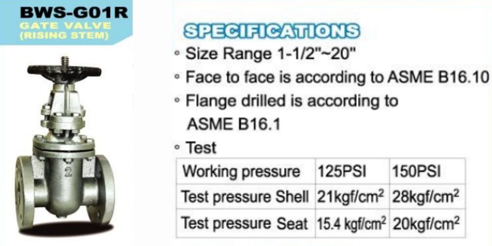 Bueno BWS-G01R | Van cổng ty nổi ASME Bueno Bws G01r