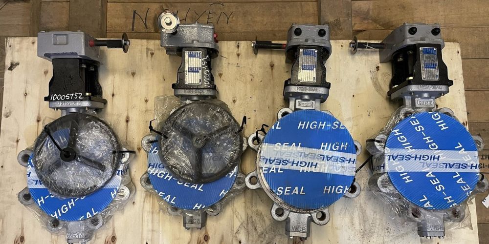 Bueno SBL-02 | SBL 02 - Van bướm tai bích inox Bueno Sbl 02