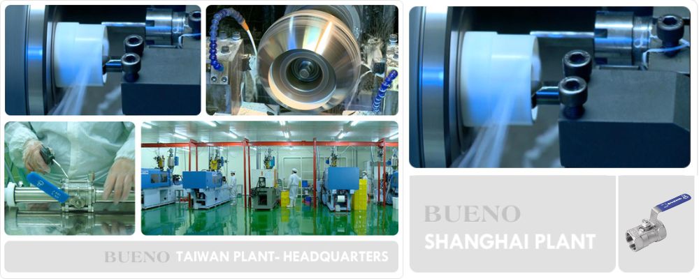 Bueno valve | Bueno valve là gì Bueno Valve