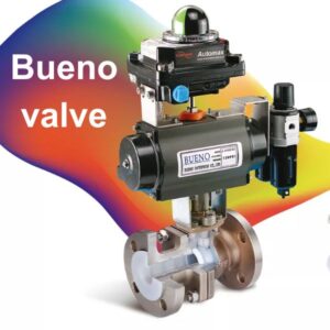 Bueno Valve