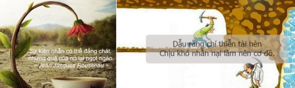 thái độ của sales engineer