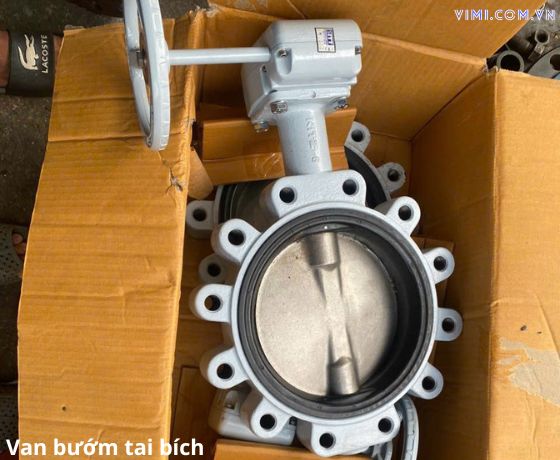 van bướm tai bích