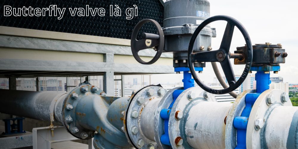 kết luận butterfly valve là gì