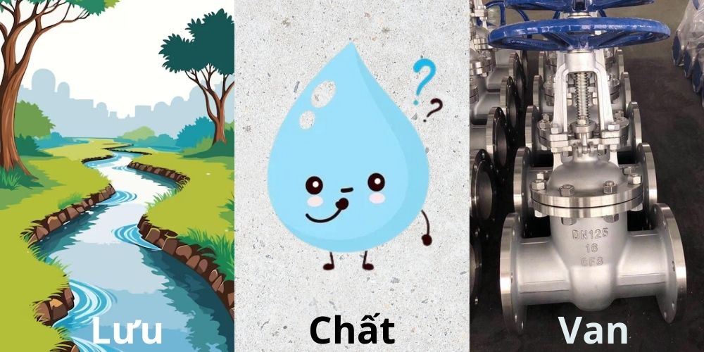 lưu chất van