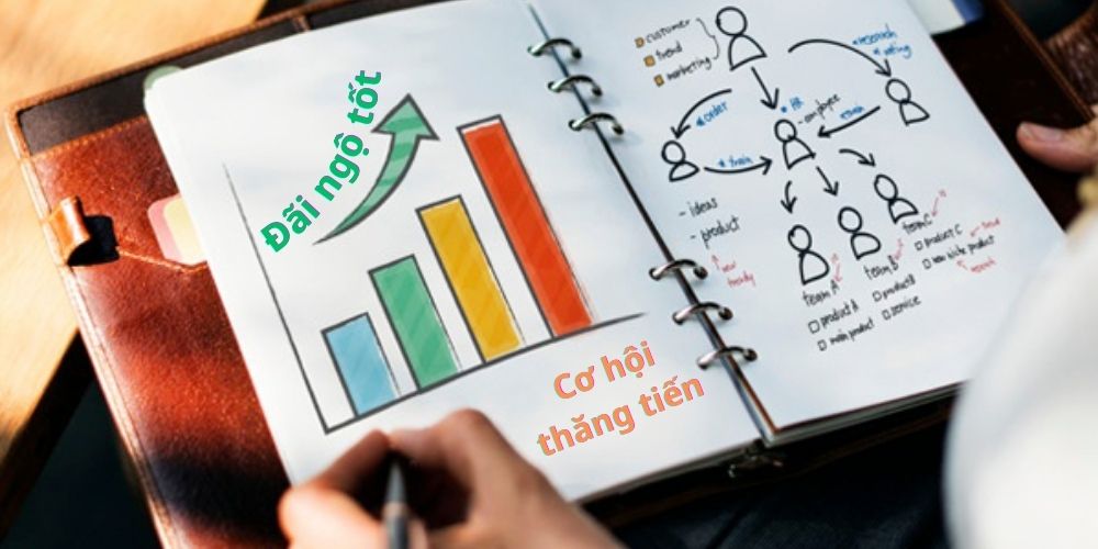 mức lương và đãi ngộ vị trí tuyển dụng seo