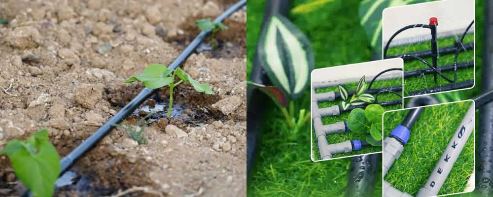 ống dekko tưới nhỏ giọt