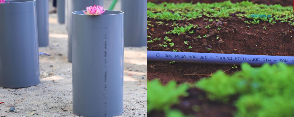 ống nhựa hoa sen là gì