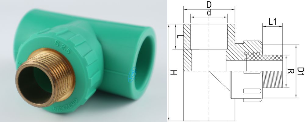 bản vẽ tê ppr gs ren ngoài