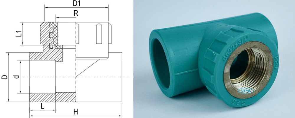bản vẽ tê ppr gs ren trong