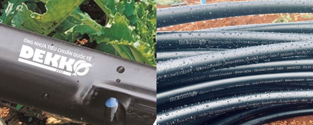 giới thiệu ống nhỏ giọt dekko