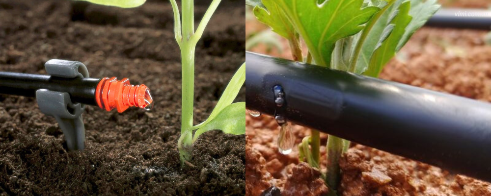 Ống tưới Dekko 12mm lưu lượng nước ống tươi dekko 12mm