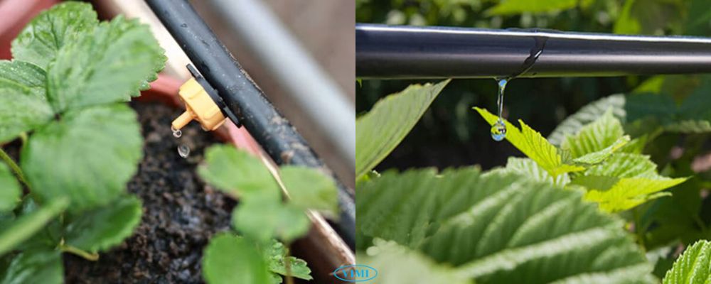 lưu lượng nước ống tưới dekko 16mm