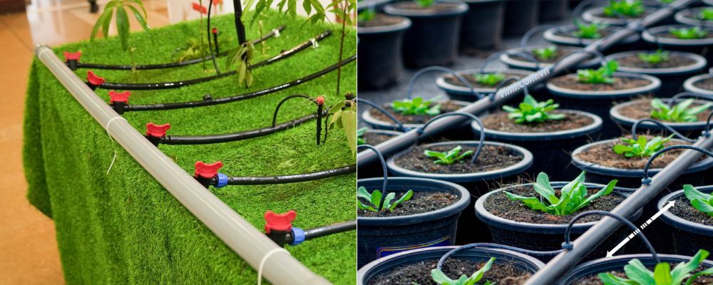 ứng dụng của phụ kiện tưới nhỏ giọt dekko