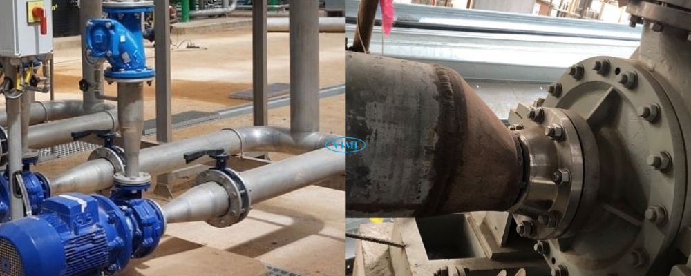 chủng loại côn thu 200 90