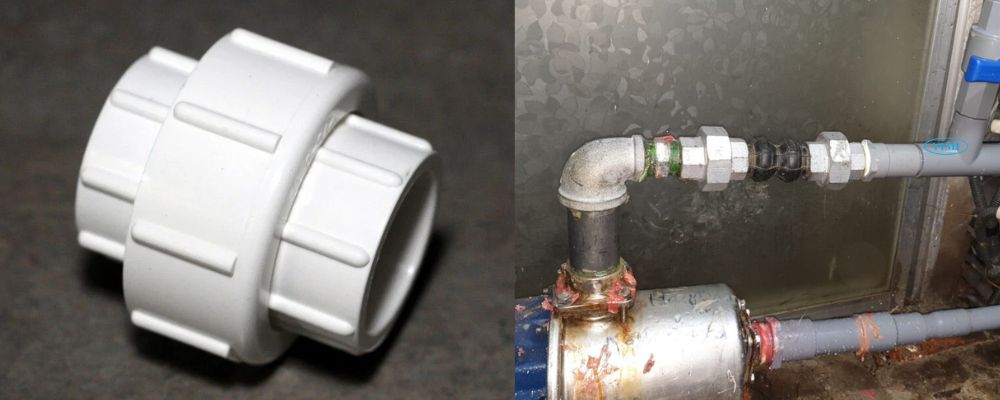 đặc điểm nổi bật của rắc co 34