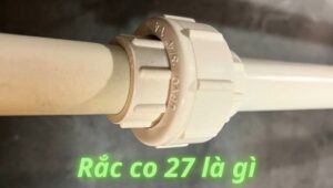 rắc co 27 dn20
