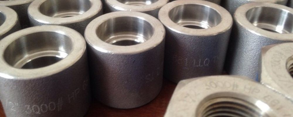 Măng sông hàn - Măng xông hàn báo giá và nơi mua măng sông hàn