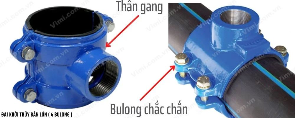 cấu tạo đai khởi thủy bản to