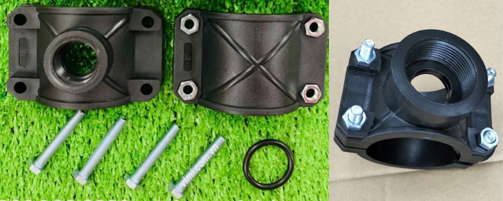 cấu tạo đai khởi thủy