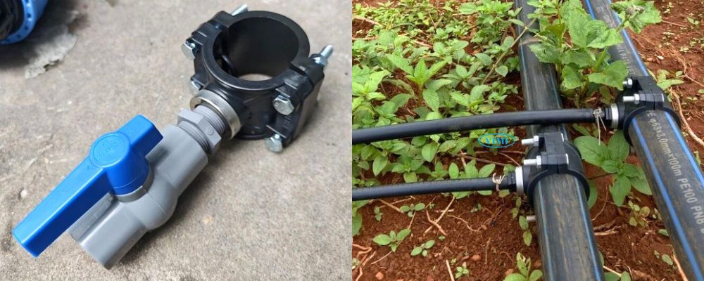 công dụng chính của đai khởi thủy