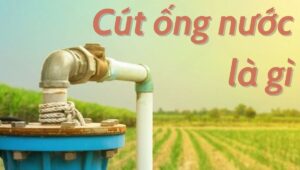 cút ống nước là gì