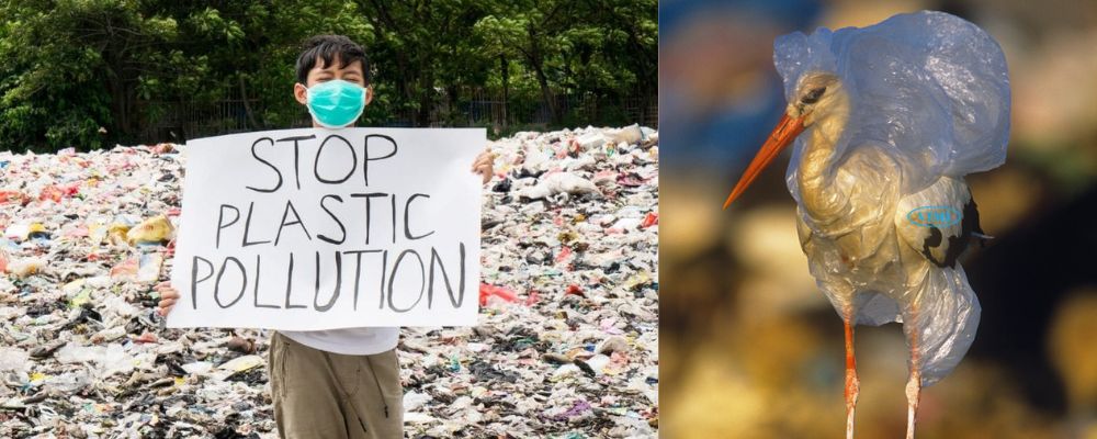 nhựa tác động thế nào đến môi trường