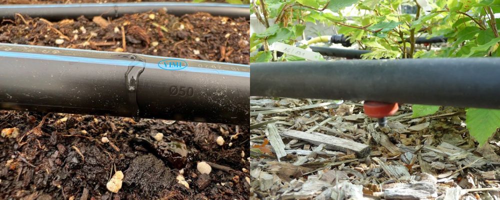 Ống HDPE 50 là gì - Hiểu trong tích tắc ống hdpe 50 dùng trong tưới tiêu