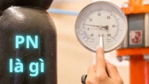 pn là gì