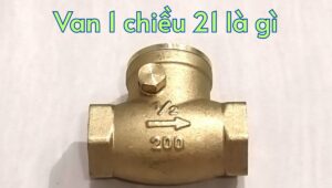 van 1 chiều 21 là gì