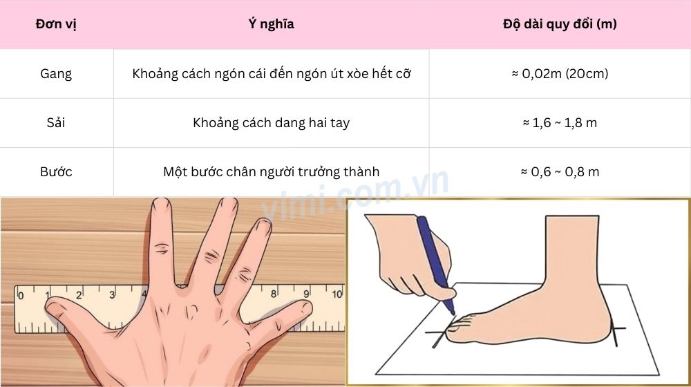 bảng đơn vị đo độ dài theo kích thước cơ thể